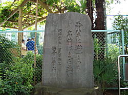 漱石記念碑
